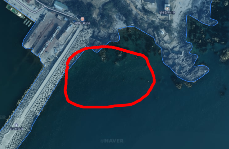 감포송대.png